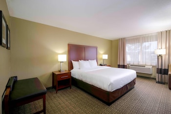 Room, 1 King Bed, Accessible, Non Smoking