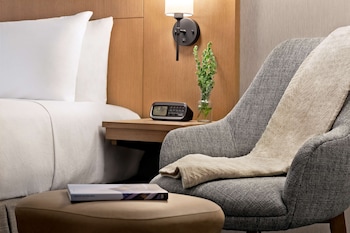 Room, 1 King Bed