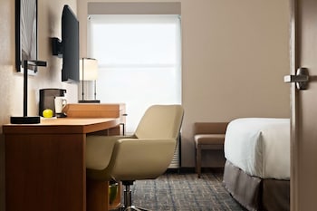 Room, 1 King Bed