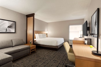 Room, 1 King Bed with Sofa bed
