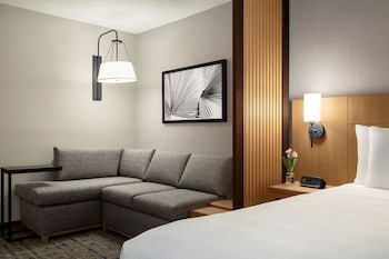Room, 1 King Bed with Sofa bed