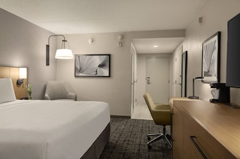 Room, 1 King Bed