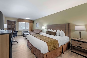 Standard Room, 1 King Bed, Non Smoking, Refrigerator & Microwave (with Sofabed)