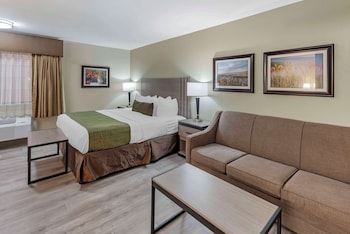 Suite, 1 King Bed, Non Smoking, Kitchenette (with Sofabed)