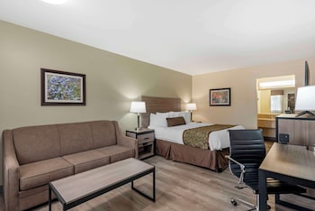 Standard Room, 1 King Bed, Non Smoking, Refrigerator & Microwave (with Sofabed)