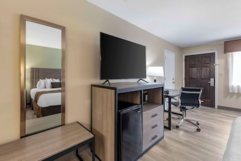 Standard Room, 1 King Bed, Non Smoking, Refrigerator & Microwave (with Sofabed)