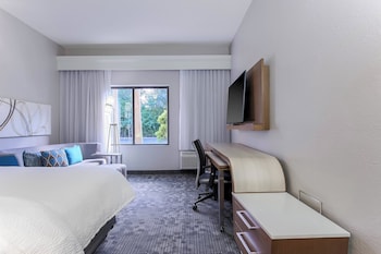Room, 1 King Bed with Sofa bed, Hearing Accessible (Accessible Bathtub)