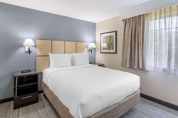 Suite, 1 Queen Bed, Non Smoking, Kitchen (with Sofabed; Full Kitchen)