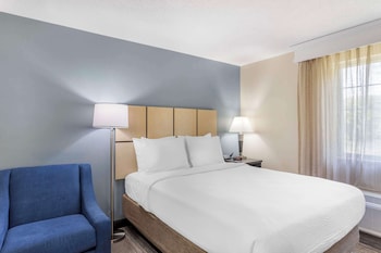 Standard Room, 1 Queen Bed, Non Smoking, Kitchen (Full Kitchen)