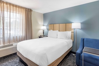 Standard Room, 1 Queen Bed, Non Smoking, Kitchen (Full Kitchen)