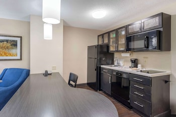 Suite, 1 Queen Bed, Non Smoking, Kitchen (with Sofabed; Full Kitchen)