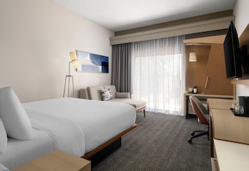 Room, 1 King Bed with Sofa bed
