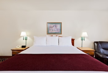 Room, 1 King Bed, Non Smoking