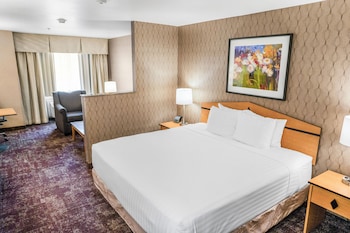 Standard Room, 1 King Bed with Sofa bed, Non Smoking