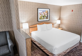 Standard Room, 1 King Bed with Sofa bed, Non Smoking
