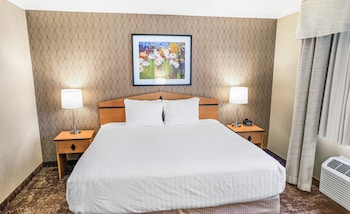 Executive Suite, 1 King Bed with Sofa bed, Jetted Tub, Non Smoking