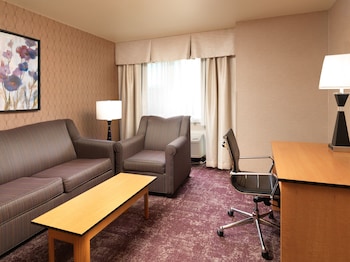 Standard Room, 1 King Bed with Sofa bed, Non Smoking