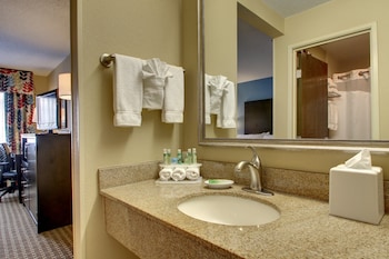 Standard Room, 1 King Bed, Accessible (Comm)