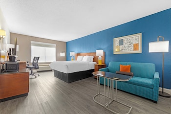 Room, 1 King Bed with Sofa bed, Accessible, Non Smoking (Roll-In Shower)