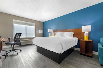 Room, 1 King Bed with Sofa bed, Accessible, Non Smoking (Roll-In Shower)