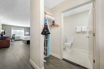 Suite, 1 King Bed with Sofa bed, Non Smoking