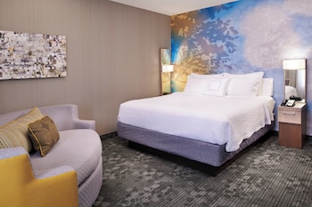 Room, 1 King Bed with Sofa bed