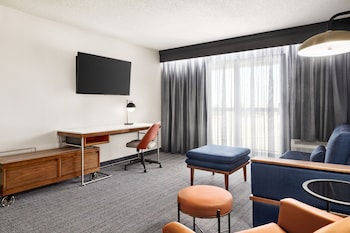 Suite, 1 King Bed with Sofa bed