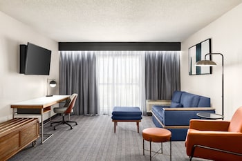 Suite, 1 King Bed with Sofa bed