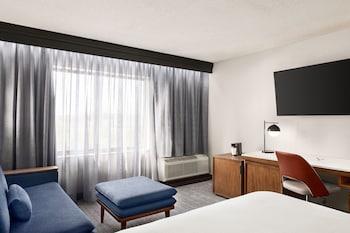 Room, 1 King Bed with Sofa bed