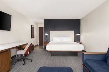 Executive Room, 1 King Bed with Sofa bed