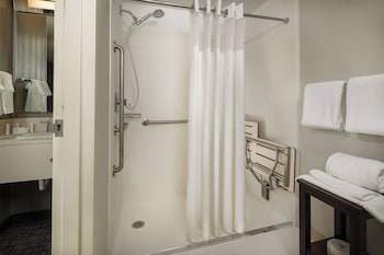 Room, 1 King Bed with Sofa bed, Roll-in Shower
