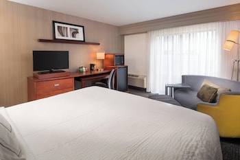 Room, 1 King Bed with Sofa bed, Roll-in Shower
