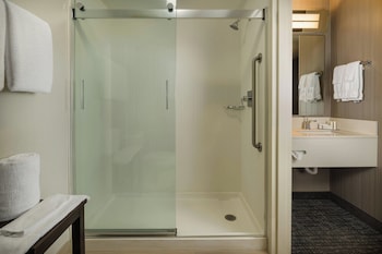 Room, 1 King Bed with Sofa bed, Roll-in Shower