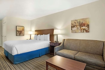 Standard Room, 1 King Bed, Accessible, Non Smoking