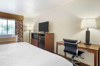Standard Room, 1 King Bed, Accessible, Non Smoking