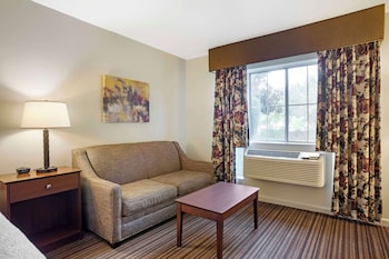 Standard Room, 1 King Bed, Accessible, Non Smoking