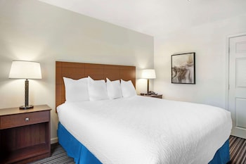 Suite, 1 King Bed, Non Smoking, Refrigerator & Microwave