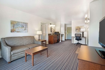 Suite, 1 King Bed, Non Smoking, Fireplace