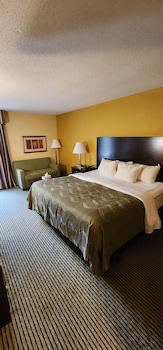 Room, 1 King Bed, Accessible, Non Smoking (Roll-In Shower)