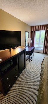 Room, 1 King Bed, Accessible, Non Smoking (Roll-In Shower)