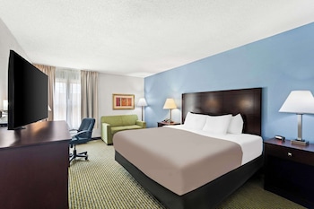 Room, 1 King Bed, Accessible, Non Smoking (Roll-In Shower)