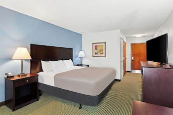 Room, 1 King Bed, Accessible, Non Smoking (Roll-In Shower)