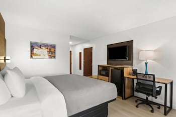 Room, 1 King Bed, Accessible, Non Smoking