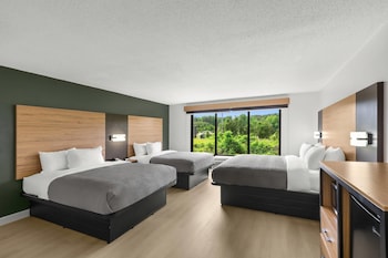 Standard Room, Multiple Beds, Non Smoking