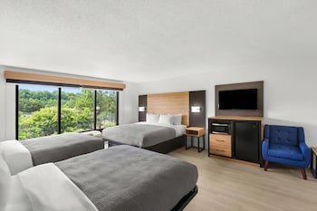 Standard Room, Multiple Beds, Non Smoking