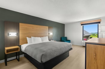 Standard Room, 1 King Bed, Non Smoking