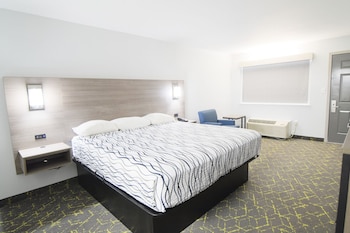 Room, 1 King Bed, Non Smoking