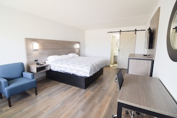 Room, 1 King Bed, Non Smoking