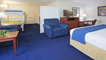 Suite, 1 King Bed with Sofa bed