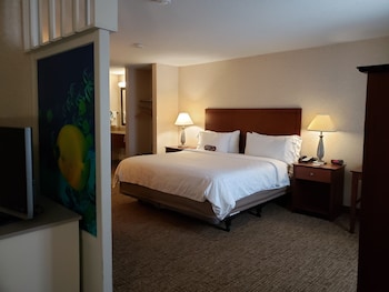 Suite, 1 King Bed with Sofa bed